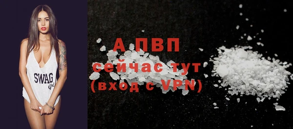 PSILOCYBIN Верея
