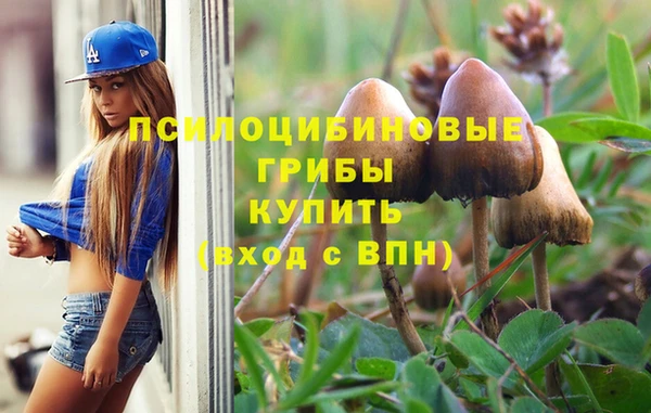 PSILOCYBIN Верея