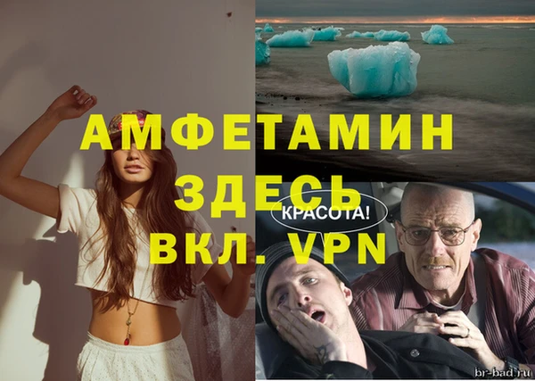 PSILOCYBIN Верея