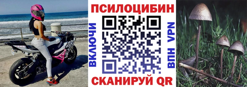 купить закладку  Губкинский  Псилоцибиновые грибы мухоморы 